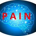 Diagram showing pain within the brain