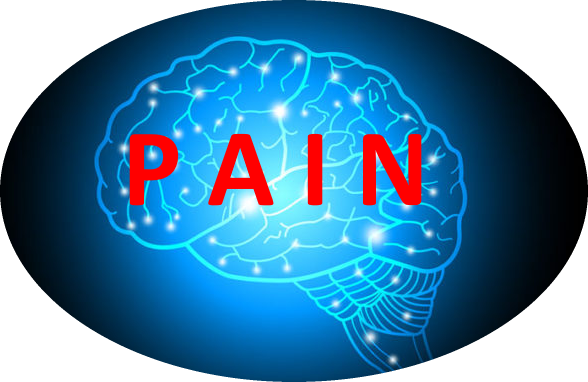 Diagram showing pain within the brain